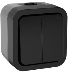 Выключатель двухклавишный IEK TS-V20-0-10-55-K53 TORS 10А IP55 TS105 графит