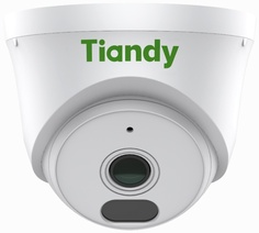 Видеокамера IP TIANDY TC-C320N AK/I3W/E/Y/2.8/V2.0 купольная, 2.8мм