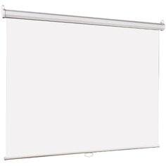 Экран Lumien LEP-100105 Eco Picture 160*160 1:1, восьмигранный корпус