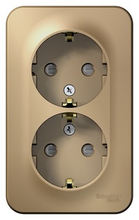 Розетка Systeme Electric BLNRA011204 2-ая с/з со шторками, 16А, 250В Титан наруж
