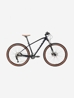Велосипед горный Scott Aspect 920, 29", Синий