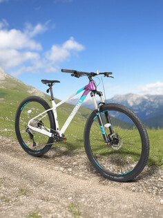 Велосипед горный Polygon Xtrada 7 29", Мультицвет