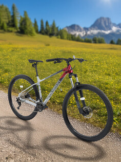 Велосипед горный Polygon Xtrada 5 29", Мультицвет