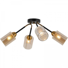 Светильник потолочный Freya FR4014PL-04BBZ